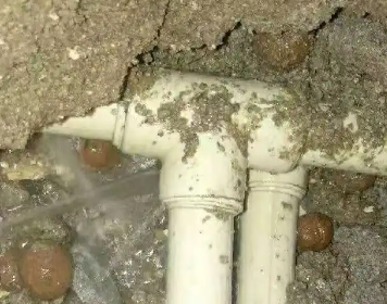 宁强测漏水多少钱