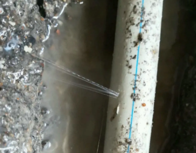 宁强测漏水哪家好