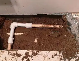 宁强测漏水哪家好