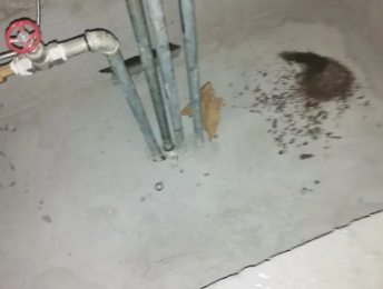 宁强卫生间测漏水价格明细