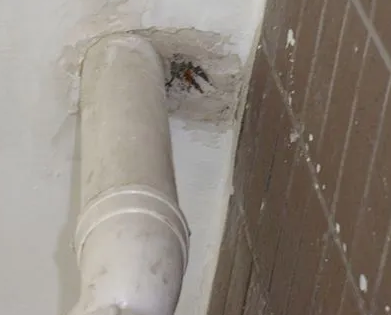 宁强漏水检测哪家好